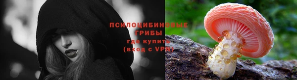 ешки Зеленодольск