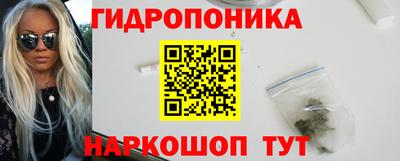 мдпв Кингисепп