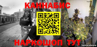 мдпв Кингисепп