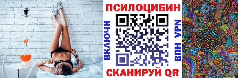 наркота Славгород Псилоцибиновые грибы Cubensis