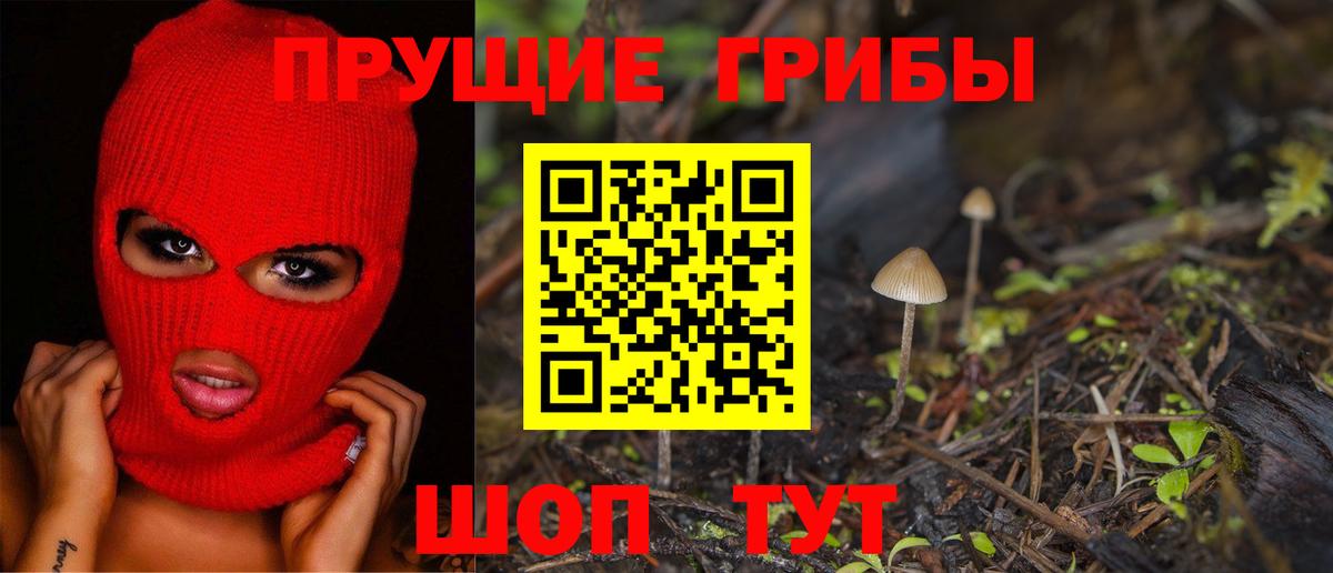 Славгород  магазин продажи   Вход с VPN  Галлюциногенные грибы мухоморы 